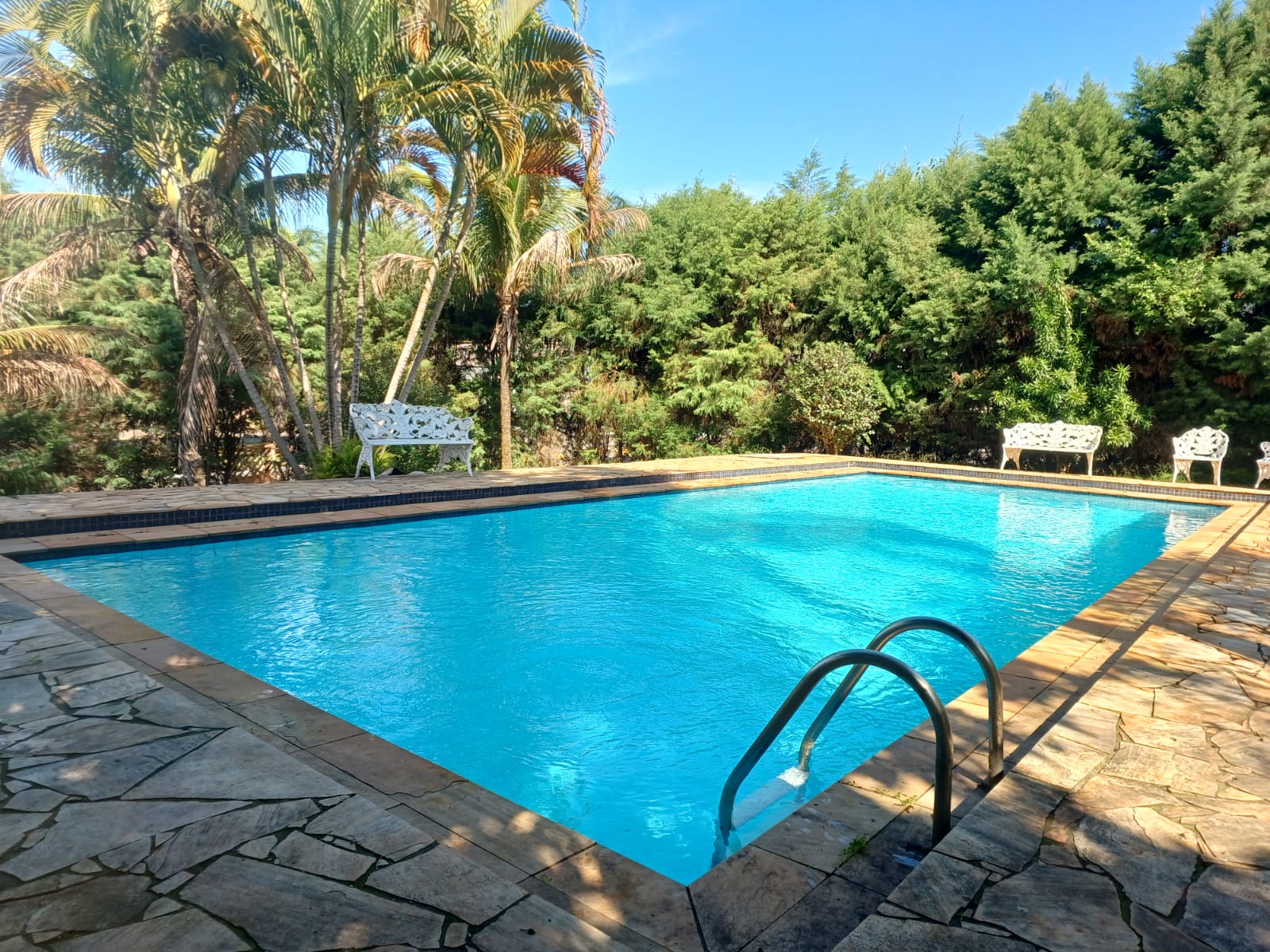 Piscina limpa em área arborizada